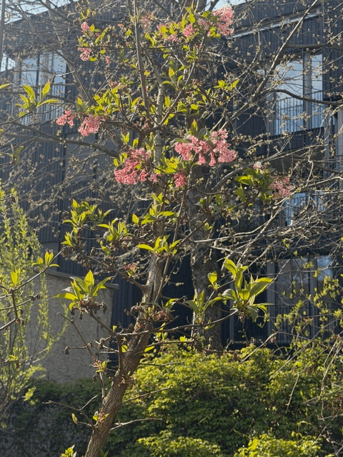 Frühling in der Kita Wunderkiste Basel